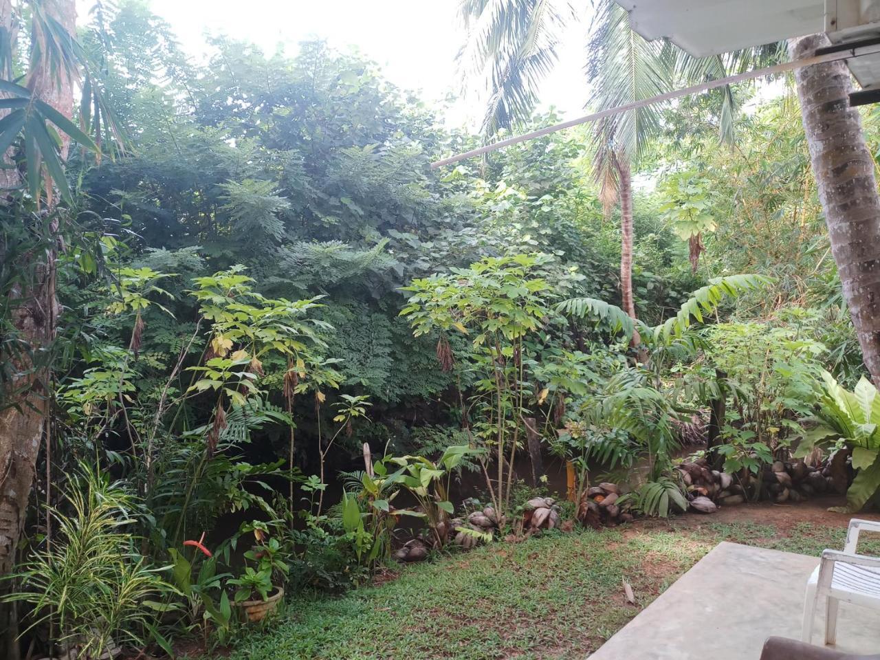 Lakvilla ฮิกคาดูวา ภายนอก รูปภาพ